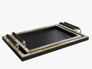 arcahorn trays Modelo 3D