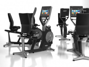 recline personal by technogym 3D Model