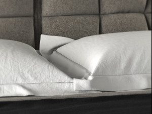 husk bed by bb italia 3D 모델