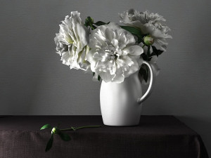 white peonies by smallaccents 3D Model