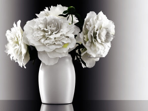 white peonies by smallaccents Modelo 3D
