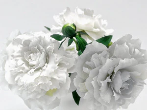 white peonies by smallaccents 3D Model