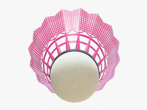 shuttlecock 01 4 3D Model
