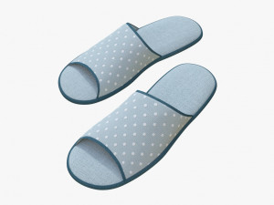 slippes 01 e 3D Model