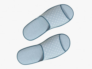 slippes 01 e 3D Model