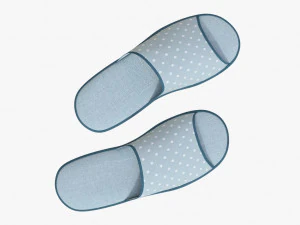 slippes 01 e 3D Model