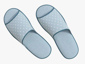 slippes 01 e 3D Model