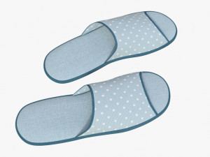 slippes 01 e 3D Model