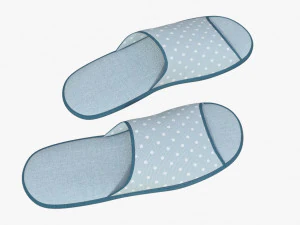 slippes 01 e 3D Model