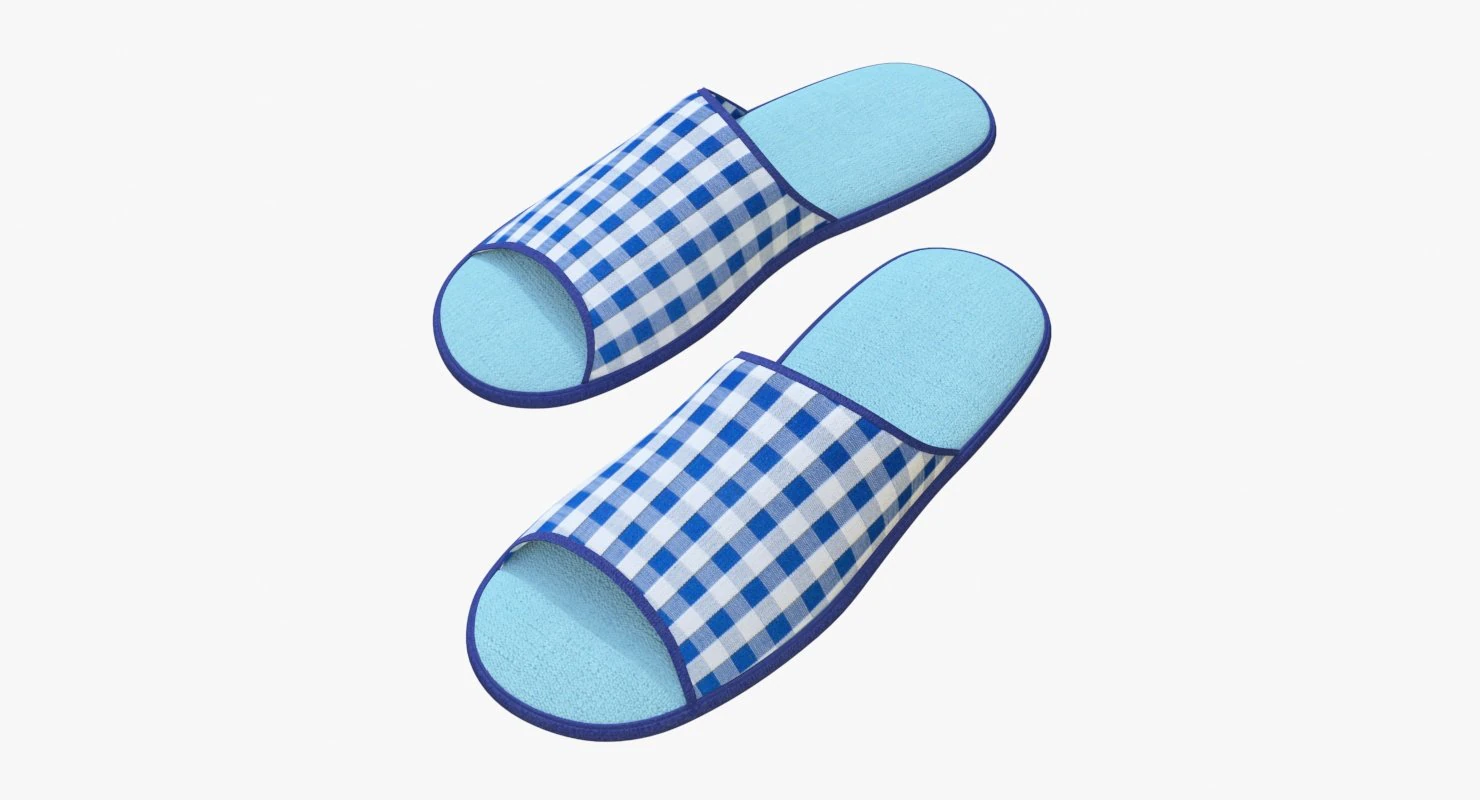 slippes 01 b 3D Model .c4d .max .obj .3ds .fbx .stl .blend