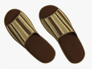 slippes 01 c 3D Model