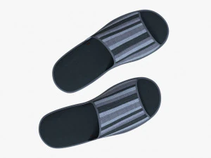 slippes 01 d 3D Model