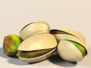 Pistachio 3D 模型