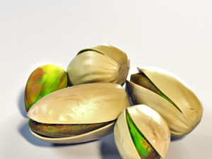 Pistachio Modelo 3D