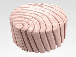 Ton balığı 3D Model