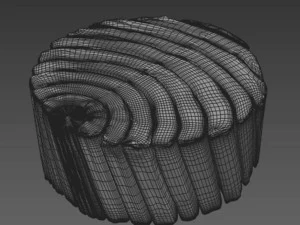 Tuna fish 3D Model