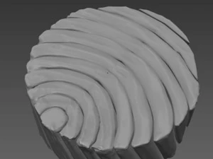 Tuna fish 3D Model
