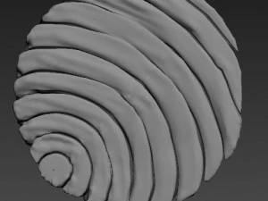 Tuna fish 3D Model