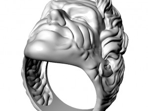 ring joker 3D 打印模型
