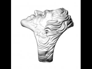 ring joker 3D Print Model
