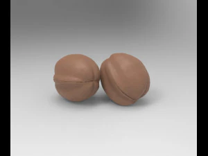 walnut 3D Model