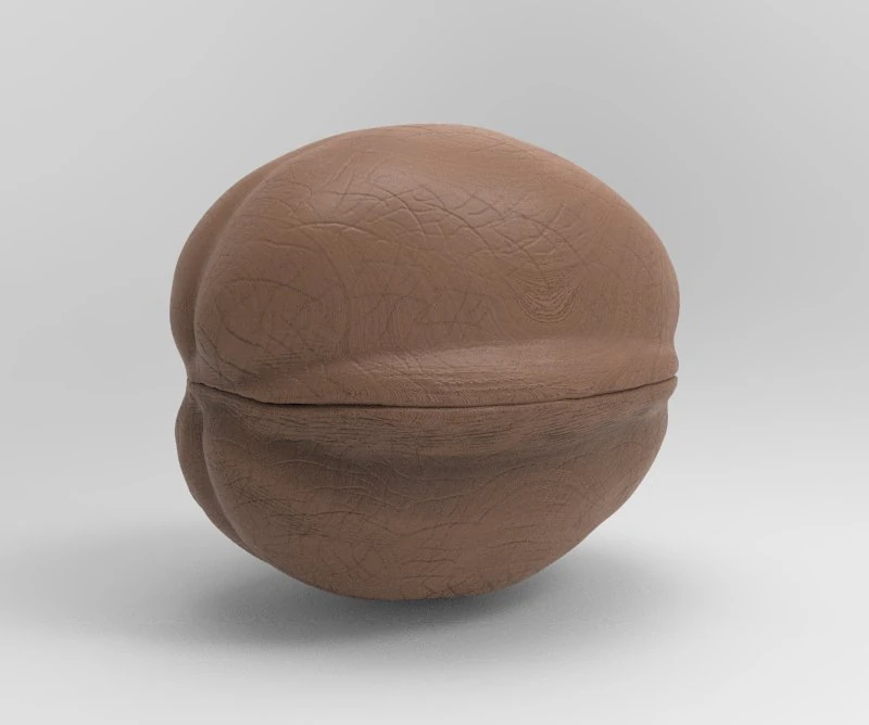 walnut 3D Model .c4d .max .obj .3ds .fbx .stl .blend