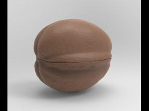 walnut 3Dモデル