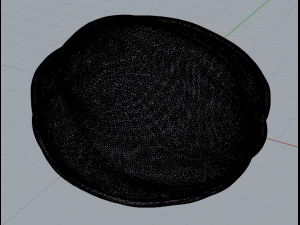 walnut 3Dモデル