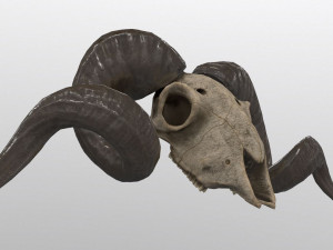 ski jet 3d boat model game ready Modèle 3D