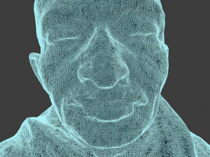 gandhi by claire sheridan 3dp 3D Print Model