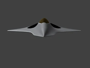 sixth generation stealth fighter 1 3D Model