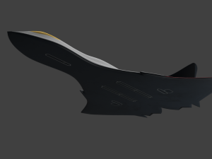 stealth fighter jet 3D Model