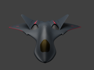 stealth fighter jet 3D Model