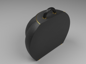 The Pumpky Bag Rounded and chic Modèle 3D