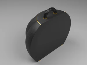 The Pumpky Bag Rounded and chic 3D Model