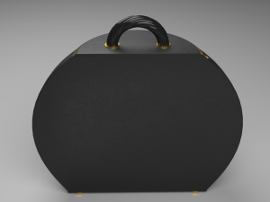 The Pumpky Bag Rounded and chic Modèle 3D