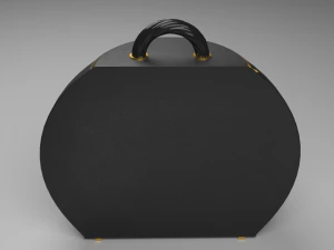 The Pumpky Bag Rounded and chic 3D Model