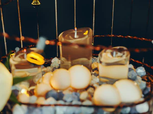 Vogelk&auml;fig 3D Modell