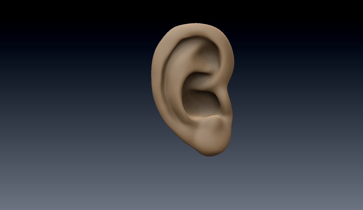 Three ear. Ухо 3д модель. Ухо 3d модель. 3д модель Ears. Ухо 3/4.