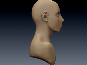 ear Modello 3D