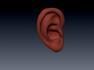 ear Modello 3D