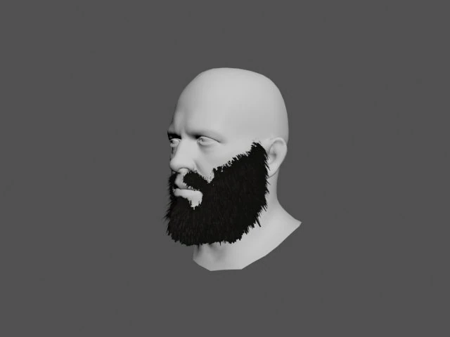 beard 3D Model .c4d .max .obj .3ds .fbx .stl .blend 