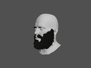 beard 3D Model
