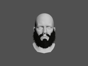 beard Modèle 3D