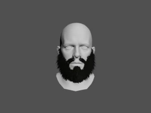 beard 3D Model