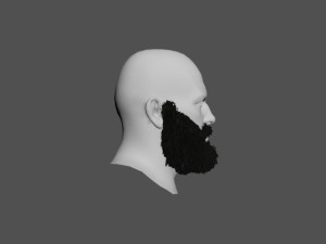 beard Modèle 3D