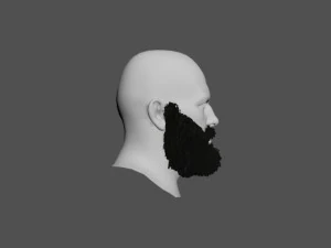 beard 3D Model