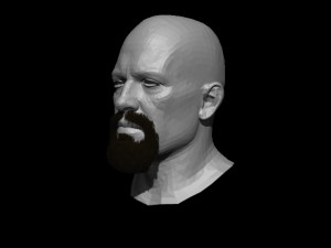 heisenberg beard 3D Model
