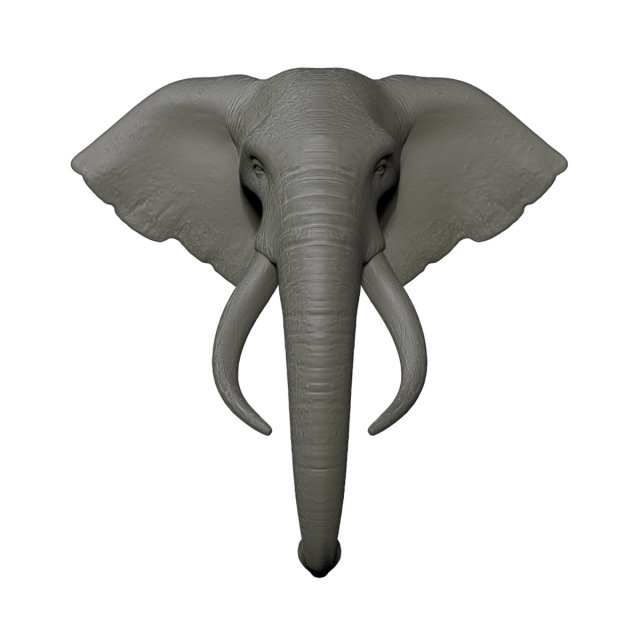 elephant head trophy wall mount 3D प्रिंट मॉडल .c4d .max .obj .3ds .fbx .stl .blend 