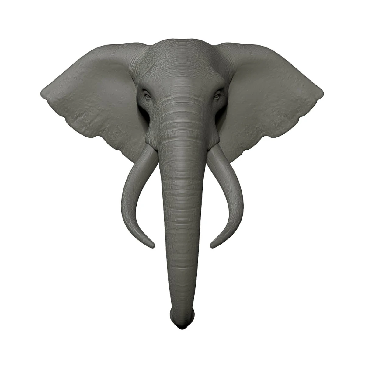 elephant head trophy wall mount 3D Print Model .c4d .max .obj .3ds .fbx .stl .blend